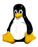 linux_ping.png